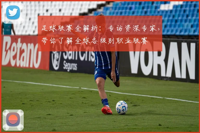 足球联赛全解析：专访资深专家，带你了解全球各级别职业联赛