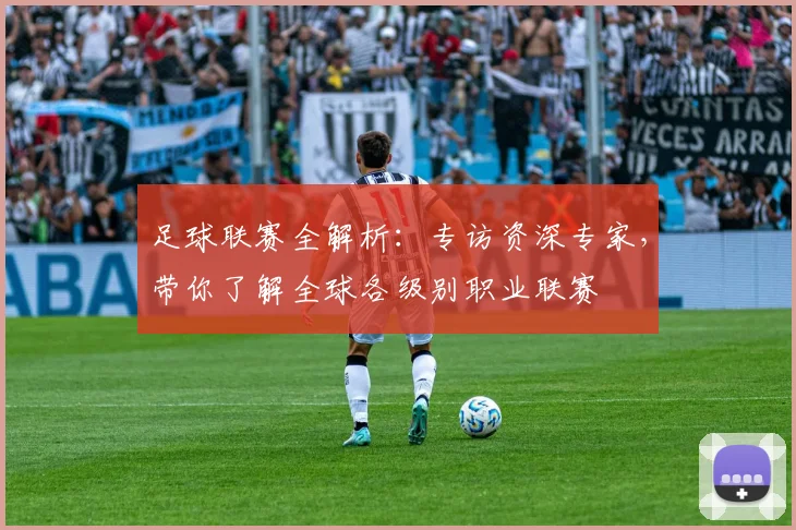 足球联赛全解析：专访资深专家，带你了解全球各级别职业联赛