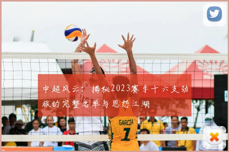 中超风云:揭秘2023赛季十六支劲旅的完整名单与恩怨江湖